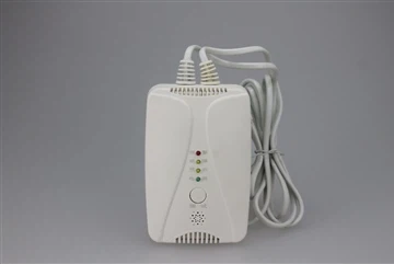 Vi tilbød den tilpassede tjenesten for våre gassdetektorer til hjemmet.